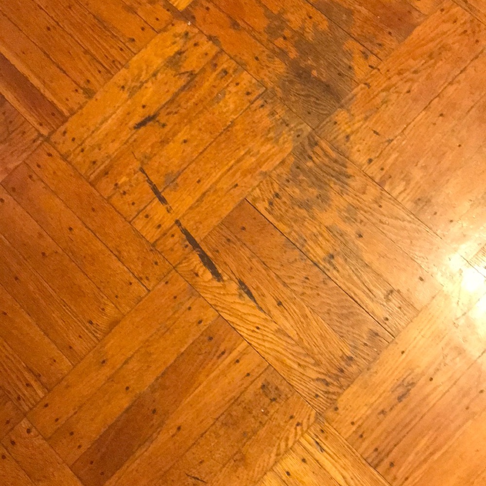 Meet your Posher, Jaime